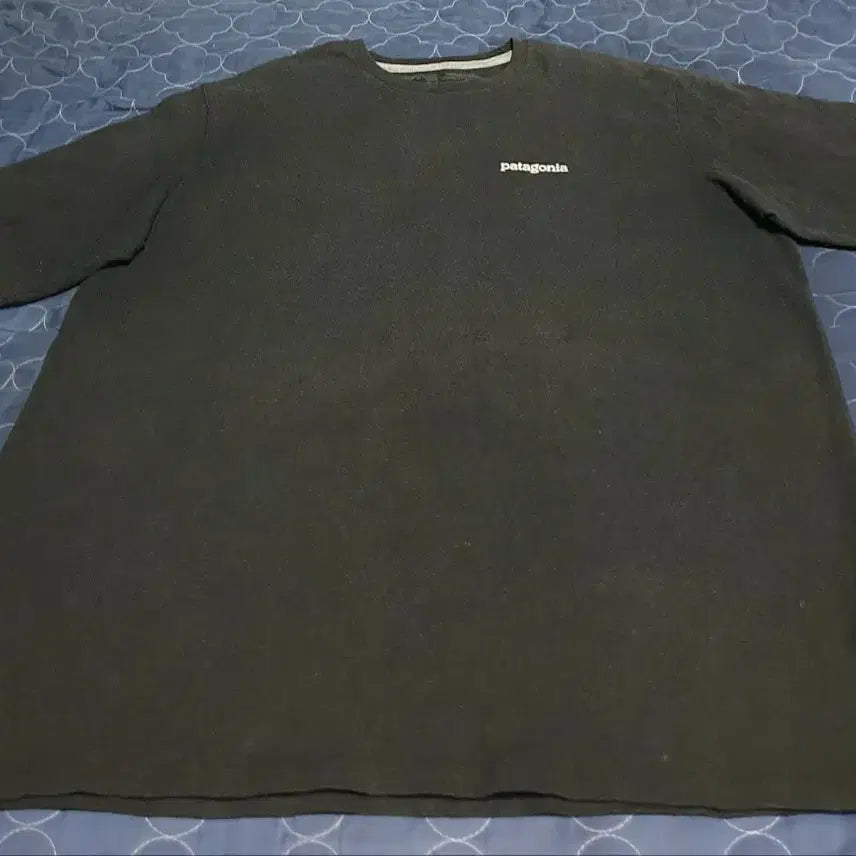 [BUNJANG] Patagonia Regular Fit Back Printed T-shirt (Black, L) / 파타고니아 레귤러핏 백프린팅 반팔티 블랙 (L)