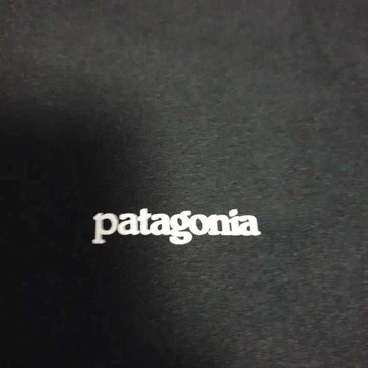 [BUNJANG] Patagonia Regular Fit Back Printed T-shirt (Black, L) / 파타고니아 레귤러핏 백프린팅 반팔티 블랙 (L)