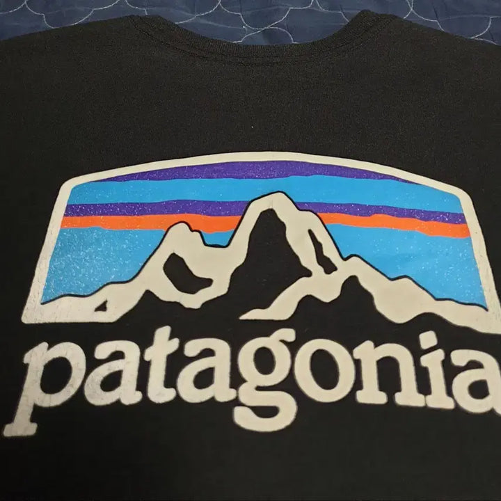 [BUNJANG] Patagonia Regular Fit Back Printed T-shirt (Black, L) / 파타고니아 레귤러핏 백프린팅 반팔티 블랙 (L)