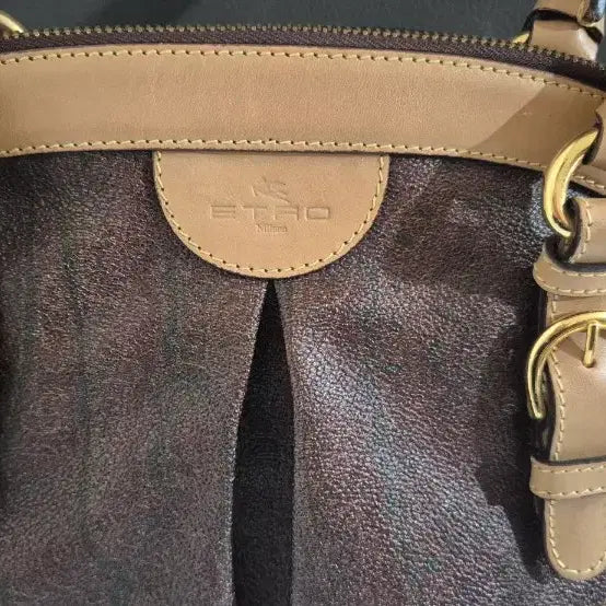 [BUNJANG] Etro Paisley Tivoli Tote Bag / (새것컨디션)에트로 페이즐리 티볼리 토트백