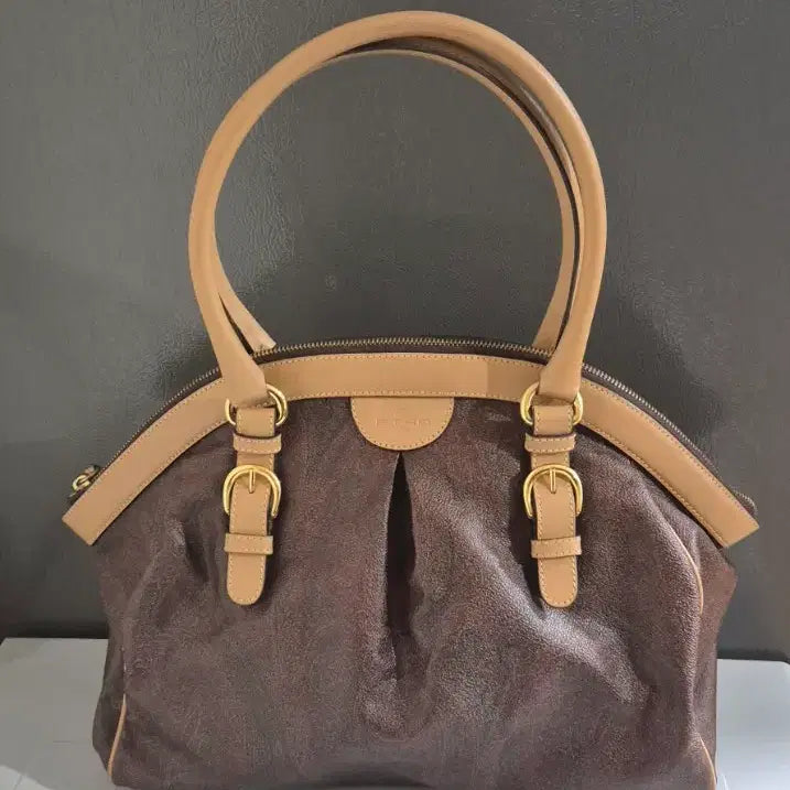 [BUNJANG] Etro Paisley Tivoli Tote Bag / (새것컨디션)에트로 페이즐리 티볼리 토트백