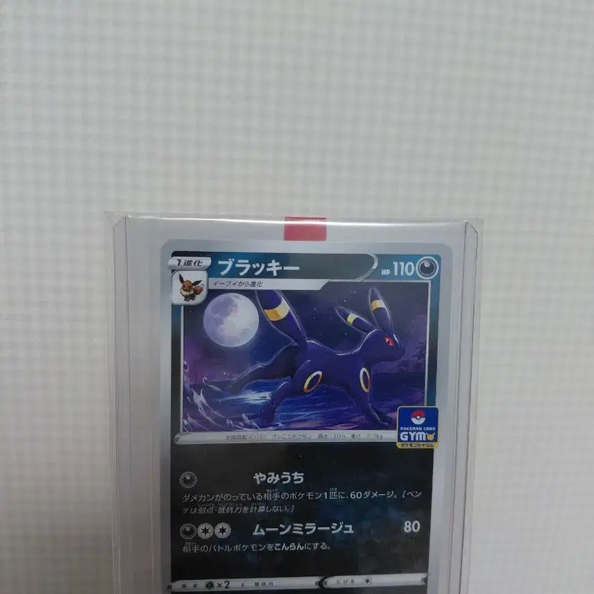 [SOLD OUT] 포켓몬카드 일판 블래키 짐 프로모