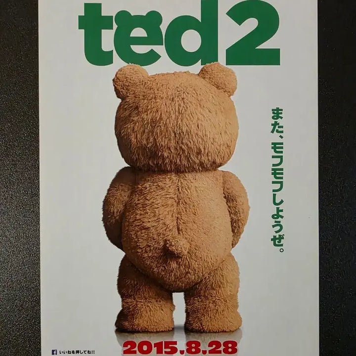 [BUNJANG] Ted 2 Japanese Flyer / [영화팜플렛] 19곰 테드 2 일본 전단지 (2015) 마크월버그