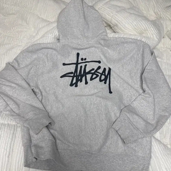[BUNJANG] Stussy Hoodie L Size / 스투시 후드집업 L