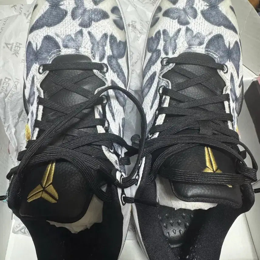 [SOLD OUT] 코비8 260