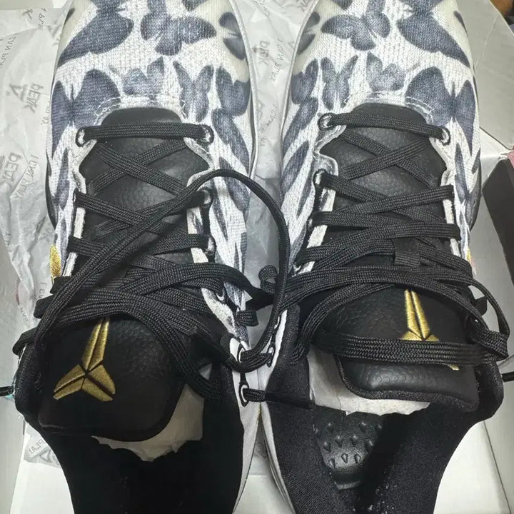 [SOLD OUT] 코비8 260