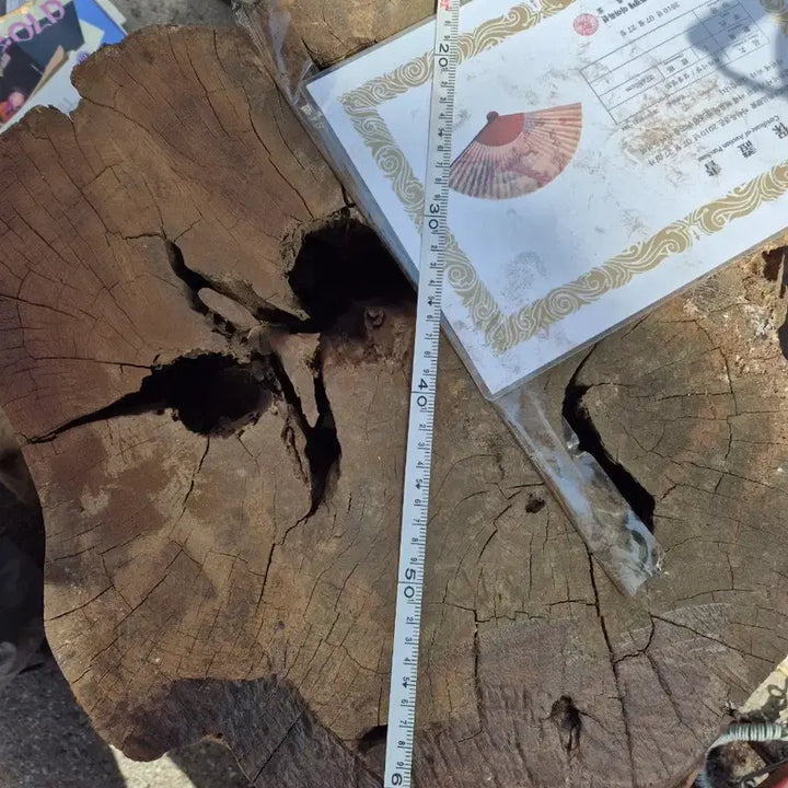 [BUNJANG] Ebony Wood Log / 흑단(나무)...원목
