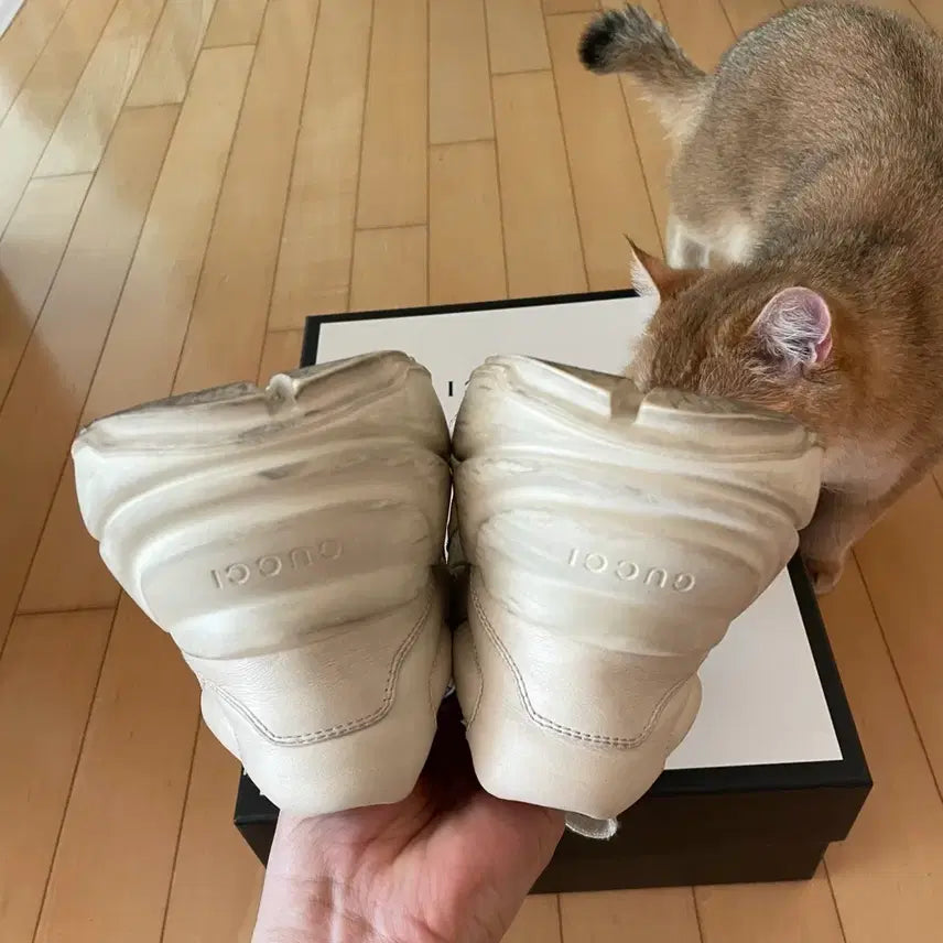 [BUNJANG] Gucci Rhyton Dirty Sneakers / [5.5] 구찌 라이톤 더티 스니커즈