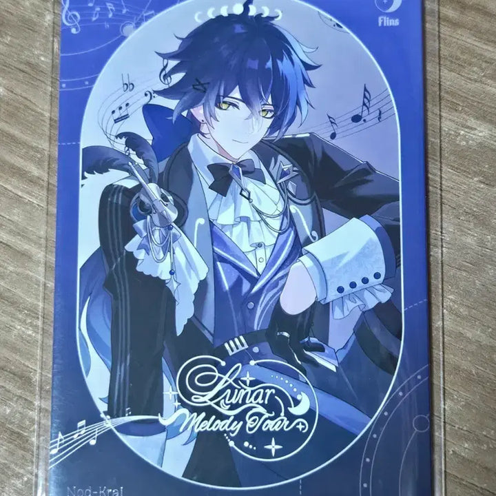 [BUNJANG] Genshin Impact Phlince Unofficial Photocard / 원신 플린스 비공굿 포토카드