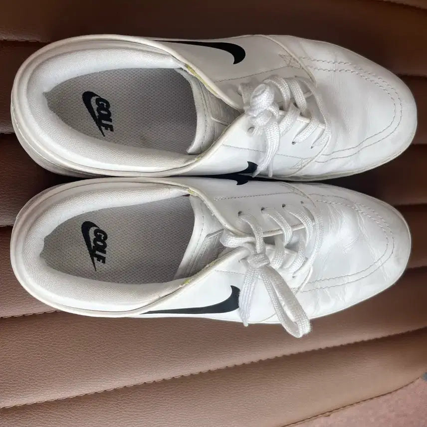 [BUNJANG] Nike Golf Shoes 270-275mm / 나이키 골프화 270-275mm
