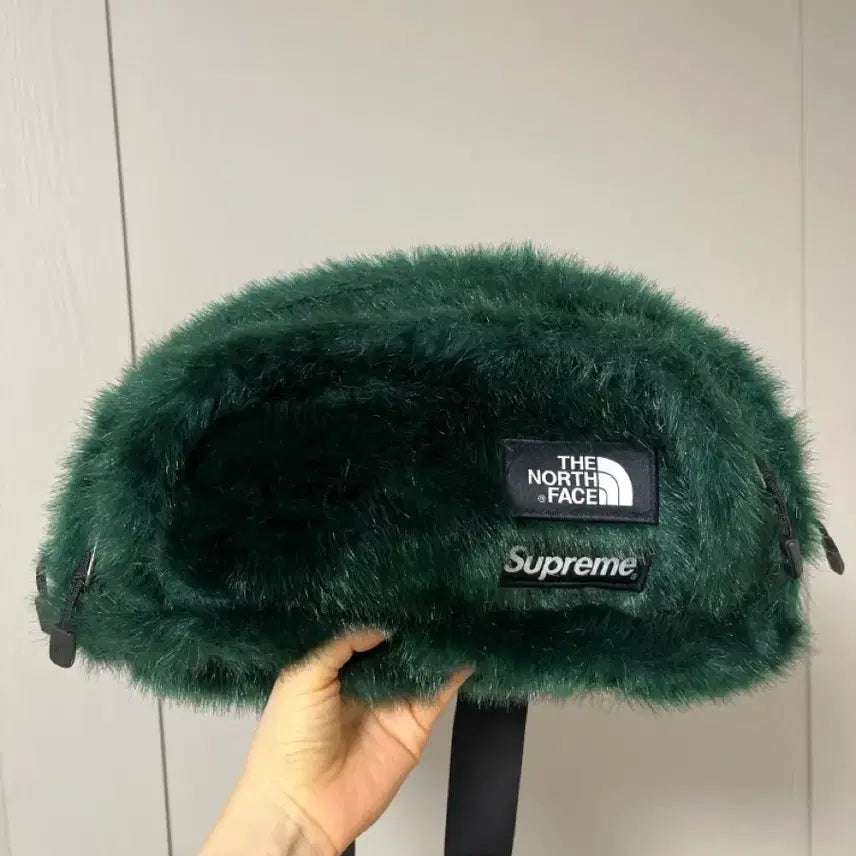 [BUNJANG] Supreme The North Face Fur Hip Bag Green / 슈프림 노스페이스 퍼 힙색 그린