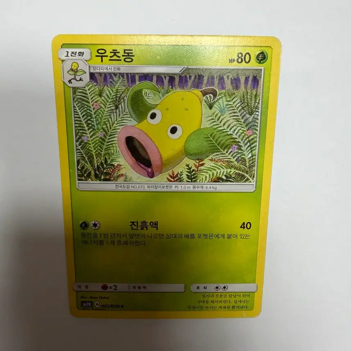 [BUNJANG] Utsudon Pokemon Card / 우츠동 포켓몬카드