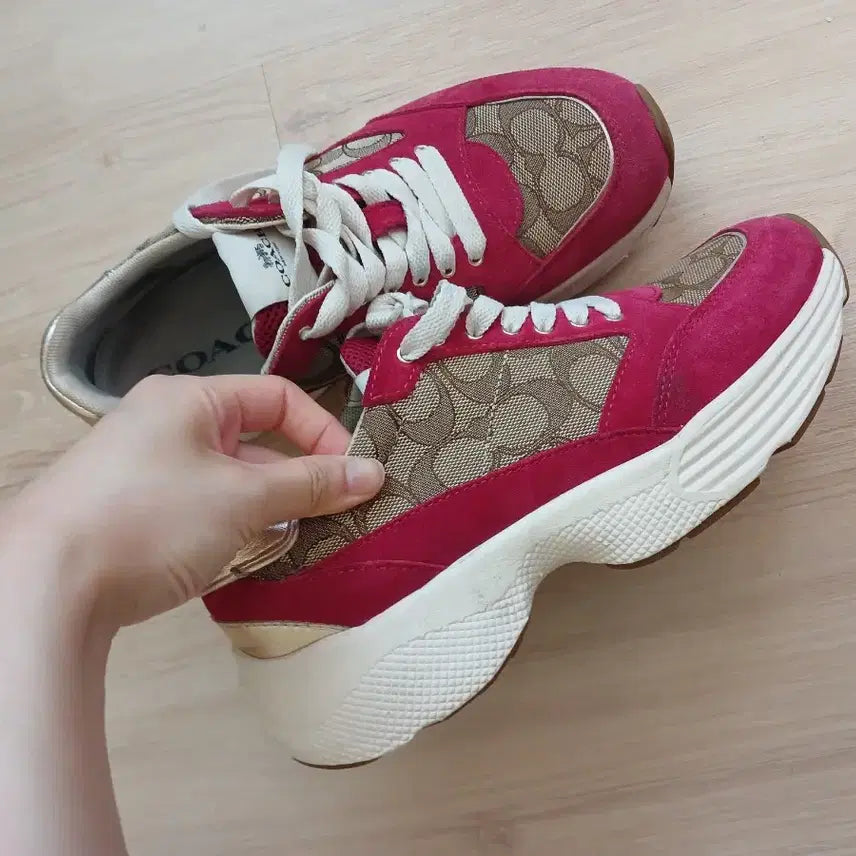 [BUNJANG] Coach Platform Sneakers / Coach 키높이 운동화