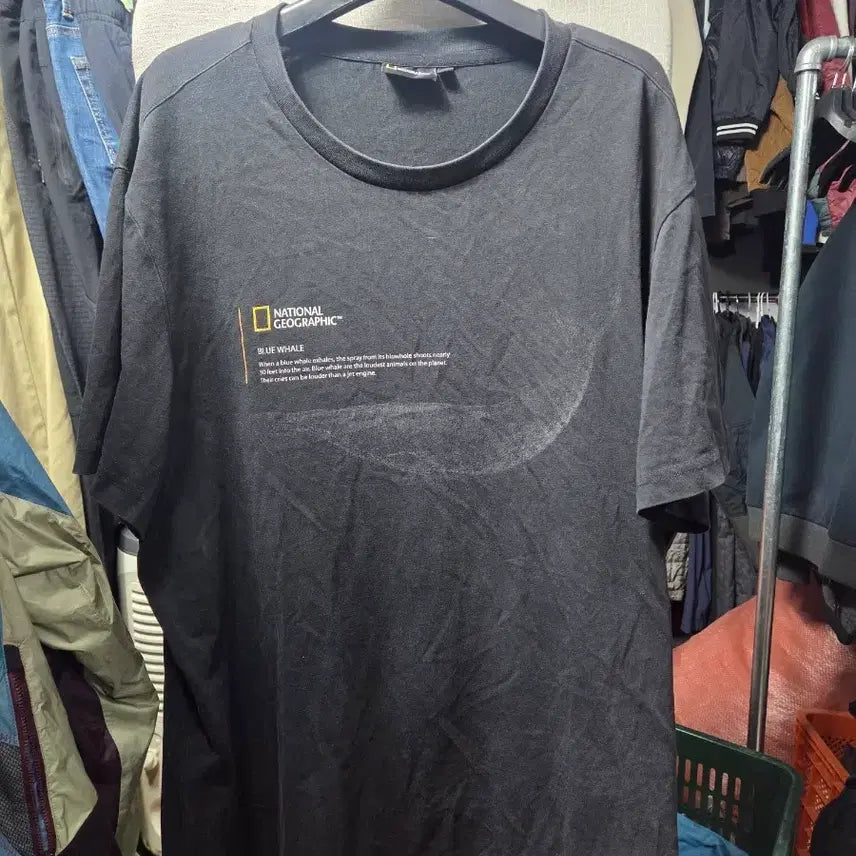 [BUNJANG] National Geographic Whale Black T-shirt / 내셔널지오그래픽 고래 검정 반팔 티셔츠