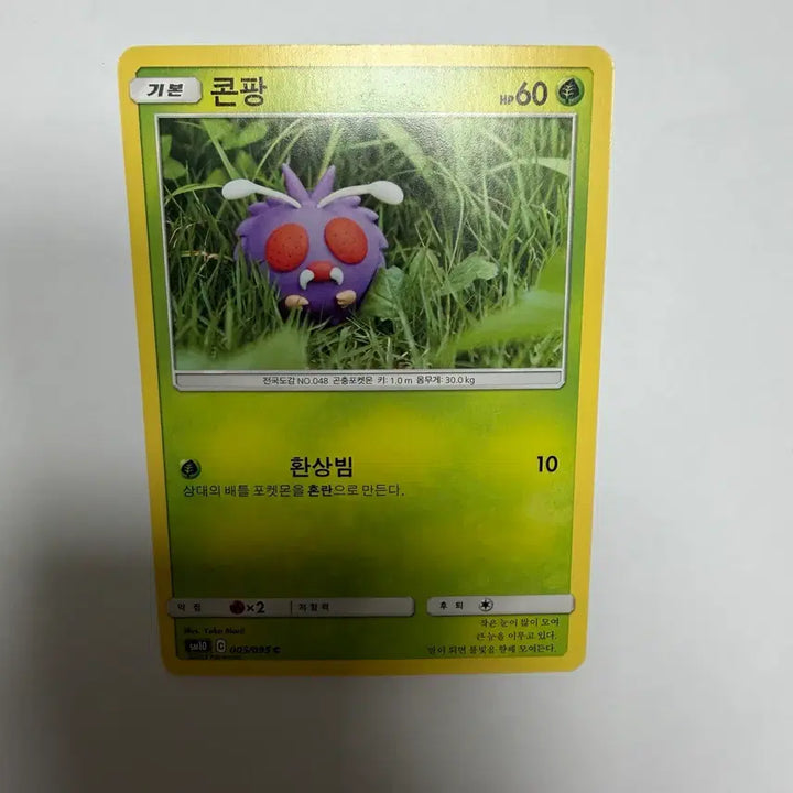 [BUNJANG] Konpang Pokemon Card / 콘팡 포켓몬카드