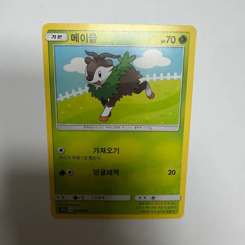 [BUNJANG] Maykle Pokemon Card / 메이클 포켓몬카드