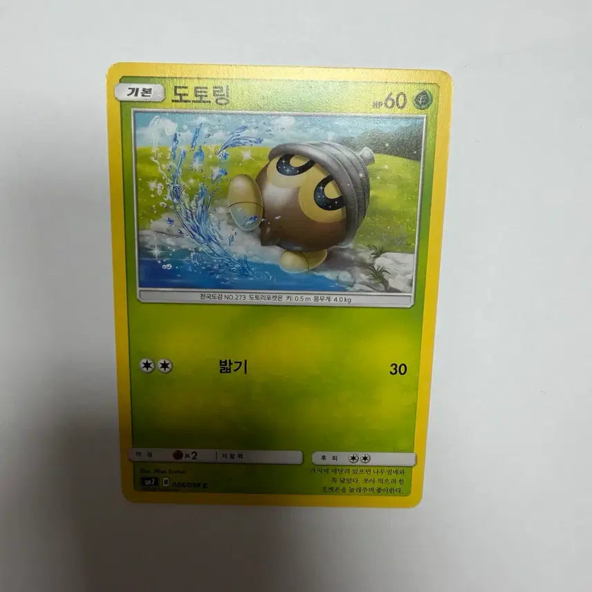 [BUNJANG] Dotoring Pokemon Card / 도토링 포켓몬카드