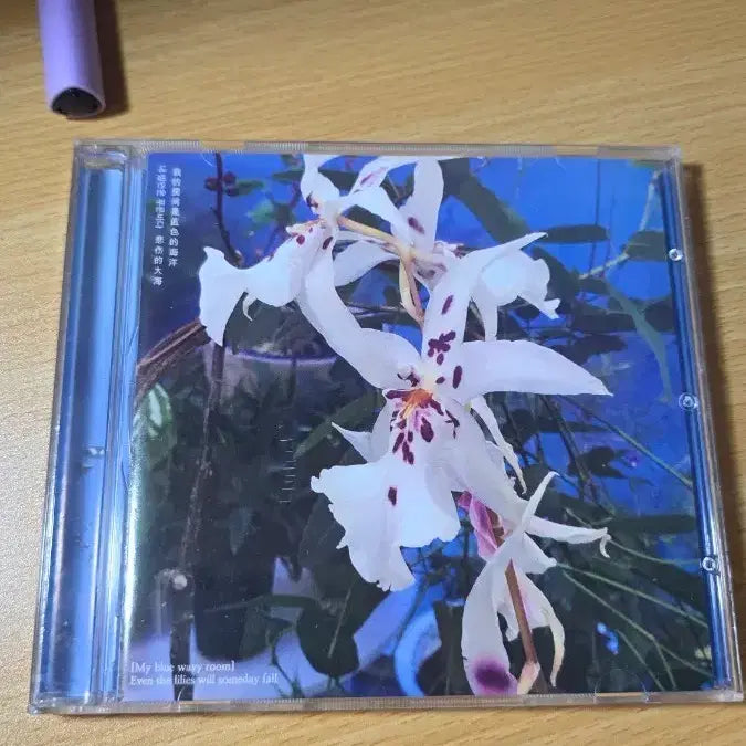 [SOLD OUT] 리도어 내 방안은 푸른 바다 cd 앨범 내방푸