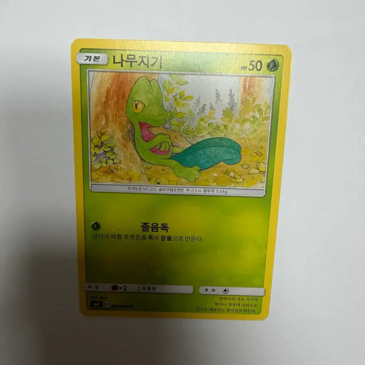 [BUNJANG] Pokemon Treecko Card / 나무지기 포켓몬카드
