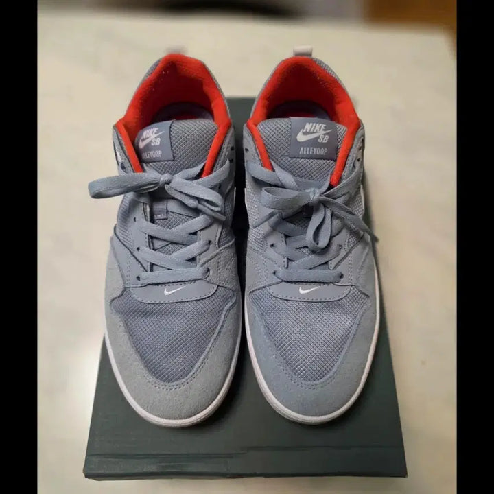 [BUNJANG] Nike SB Sneakers 270mm / 나이키SB 운동화형 스니커즈 270mm