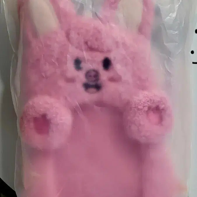[BUNJANG] Dwaekki Ril Photocard Holder (Sealed) / 돼끼 릴 포카 홀더 미개봉