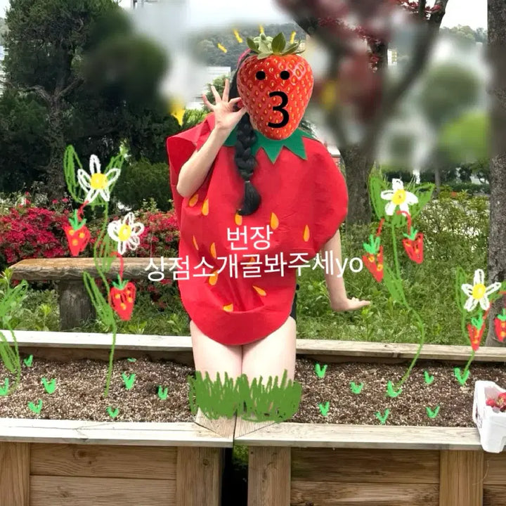 [BUNJANG] Strawberry Costume Cosplay Outfit / 판매, 소장하실분) 졸업사진 대여 딸기 코스튬 코스프레 의상대여 졸사