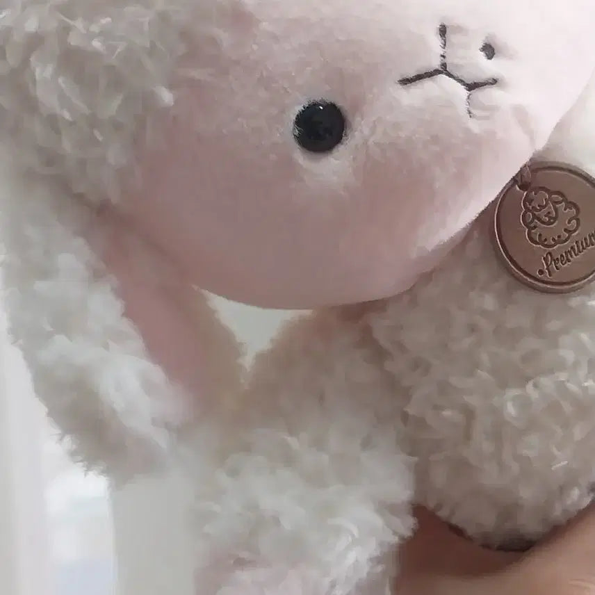 [BUNJANG] Yangboksun Doll 30cm / 시골 양복순인형 중형30cm