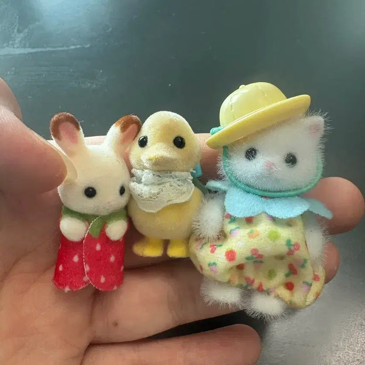 [SOLD OUT] 실바니안 일괄판먀