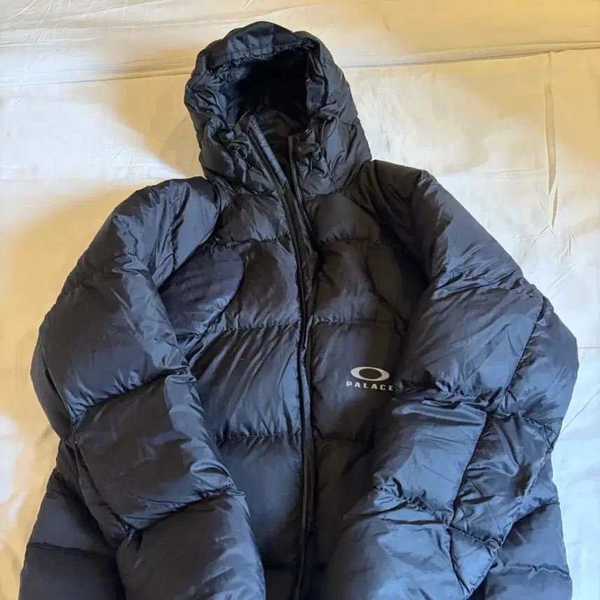 [BUNJANG] Palace Oakley Puffer Jacket XL / 팔라스 오클리 푸파 패딩 xl팝니다.