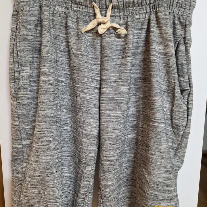 [BUNJANG] Human Made Heart Logo Gray Shorts / 휴먼메이드 하트 로고 반바지 그레이 새상품