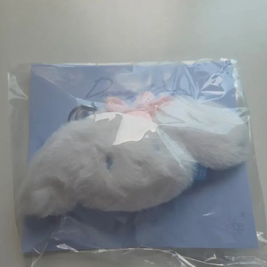 [BUNJANG] Choi Lip-Woo Fanmeeting MD Doll Keyring / 최립우 팬미팅 엠디 MD 인형 키링