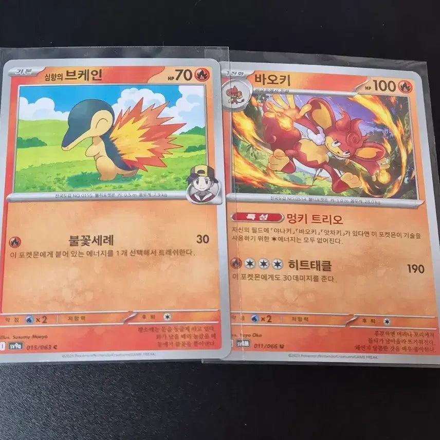 [BUNJANG] Pokemon Cyndaquil, Quilava Card Bundle / 일괄) 포켓몬 심향의 브케인, 바오키 카드