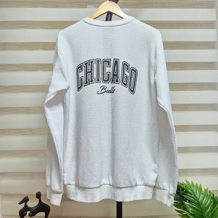 [BUNJANG] Chicago Bulls Sweatshirt T-Shirt L / 택포)시카고 불스 맨투맨 티셔츠 L