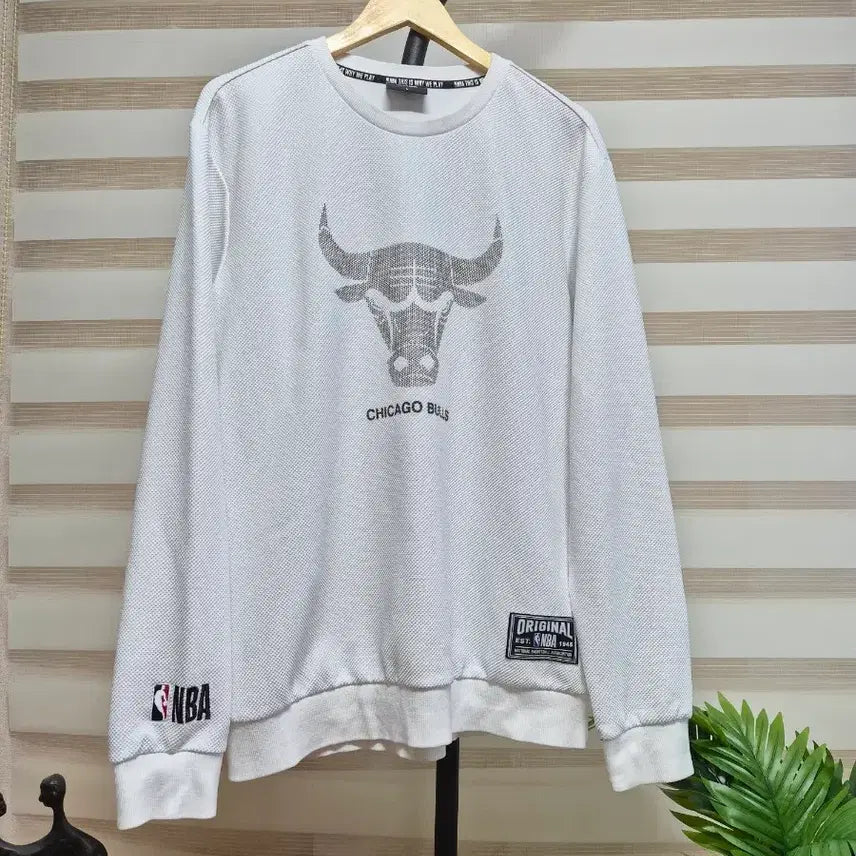 [BUNJANG] Chicago Bulls Sweatshirt T-Shirt L / 택포)시카고 불스 맨투맨 티셔츠 L