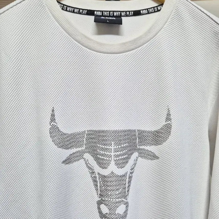 [BUNJANG] Chicago Bulls Sweatshirt T-Shirt L / 택포)시카고 불스 맨투맨 티셔츠 L