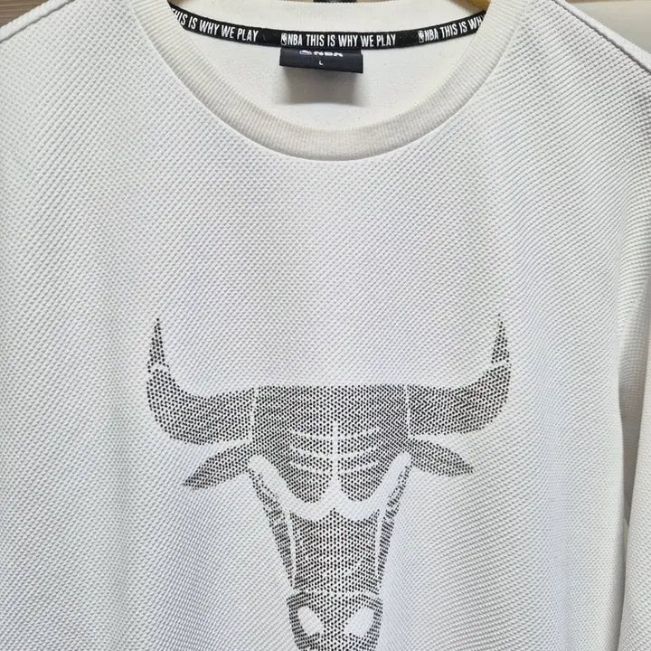 [BUNJANG] Chicago Bulls Sweatshirt T-Shirt L / 택포)시카고 불스 맨투맨 티셔츠 L
