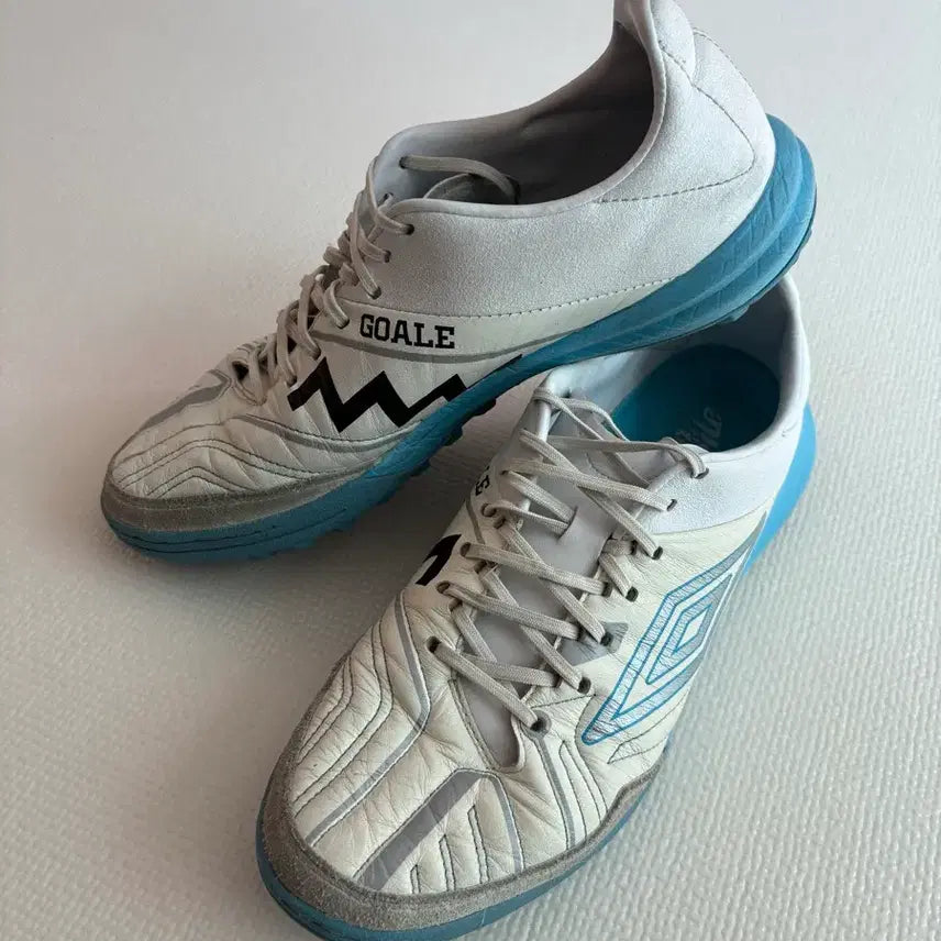 [BUNJANG] GOAL.E Umbro TF 275 Futsal Shoes / 고알레 엄브로 풋살화 tf 275
