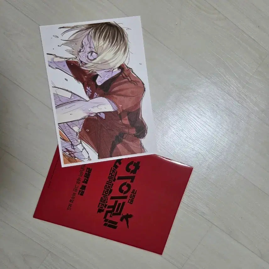 [BUNJANG] Haikyu The Battle of the Garbage Dump Special Item / 하이큐 쓰레기장의 결전 특전