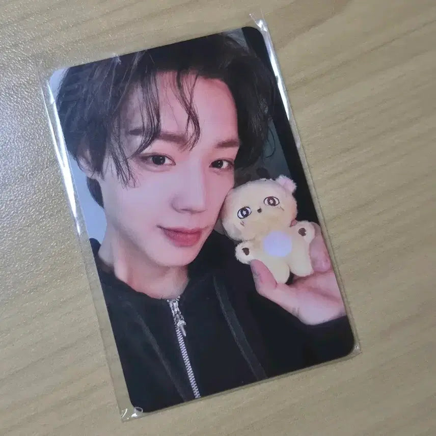[SOLD OUT] 박지훈 생일카페 소심이 포카 양도 (구매 당일 배송)