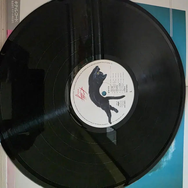 [BUNJANG] Anzen Chitai Endless Live LP / (시티팝)안전지대 라이브  Endless LP