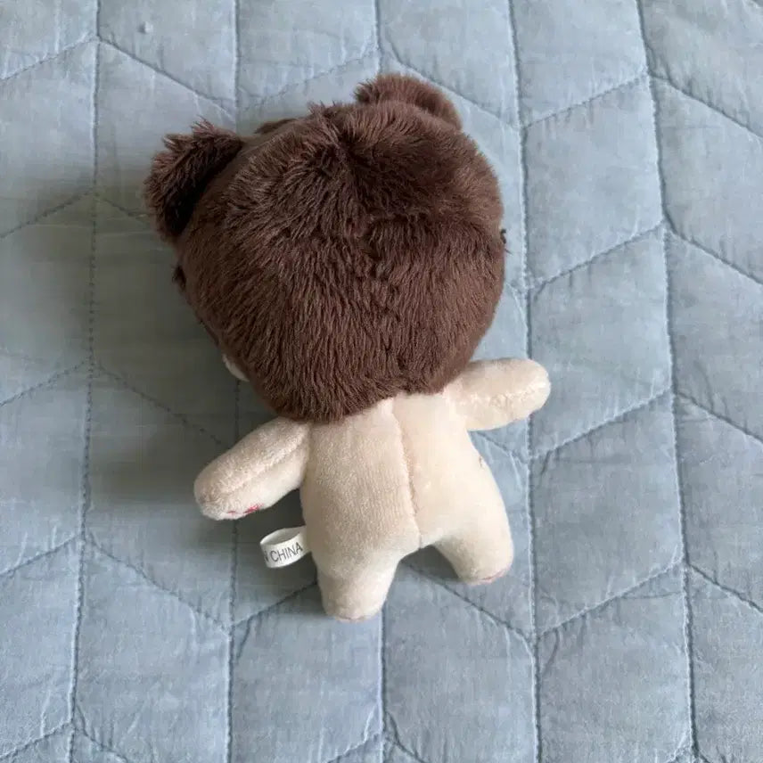 [SOLD OUT] 데뷔못하면죽는병걸림 데못죽 10cm 솜인형 이세진 큰세진