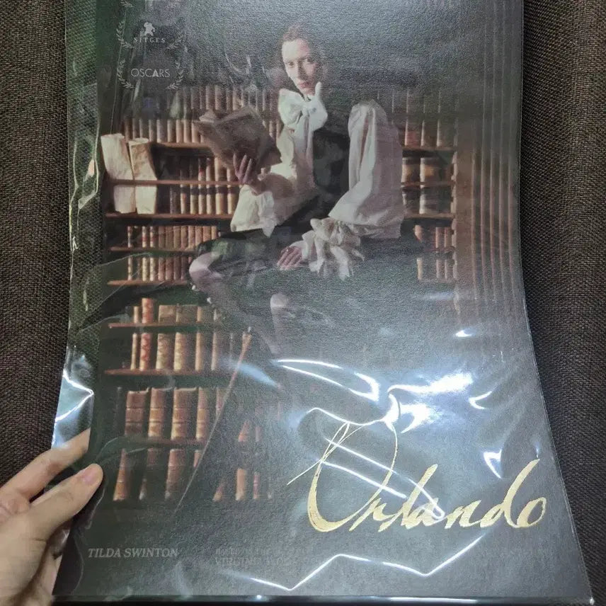 [BUNJANG] Tilda Swinton Orlando Movie Poster / 틸다 스윈튼 올란도 (Orlando) 영화 포스터