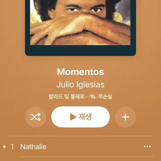 [BUNJANG] Julio Iglesias Momentos LP Album / Julio Iglesias - momentos (1982) / LP
