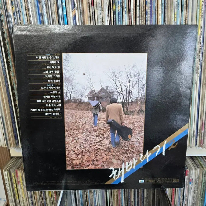 [BUNJANG] Sunflower LP Record / 해바라기 LP판