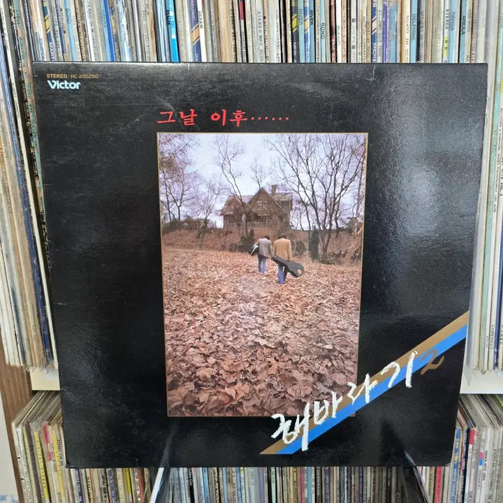 [BUNJANG] Sunflower LP Record / 해바라기 LP판