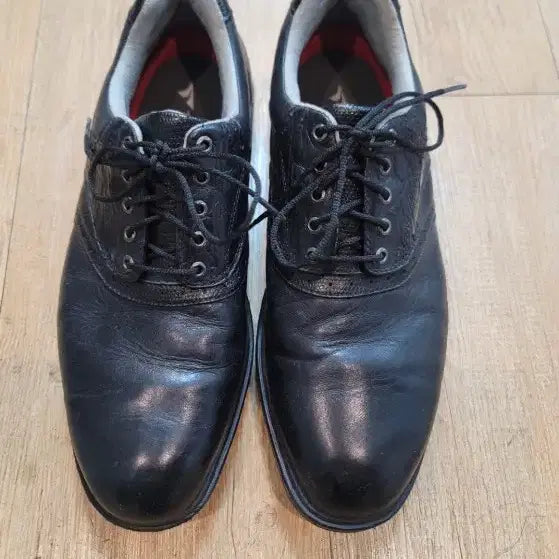 [BUNJANG] Tourstage Gore-Tex Golf Shoes 255 / 투어스테이지 고어텍스 골프화 255