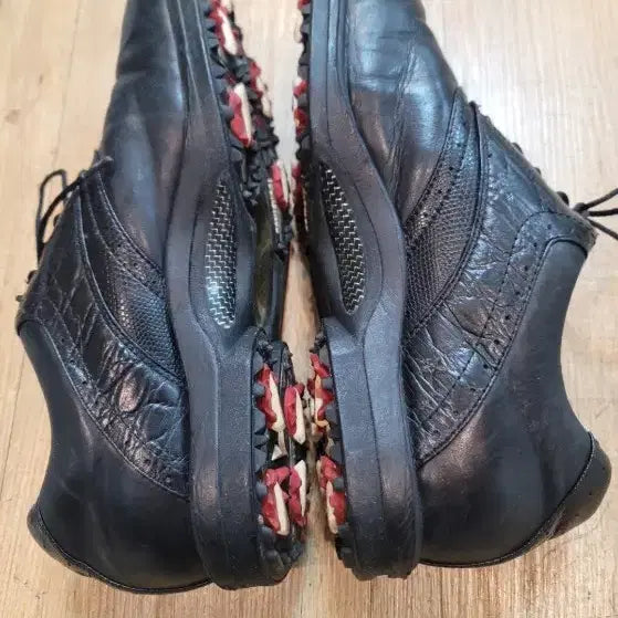 [BUNJANG] Tourstage Gore-Tex Golf Shoes 255 / 투어스테이지 고어텍스 골프화 255