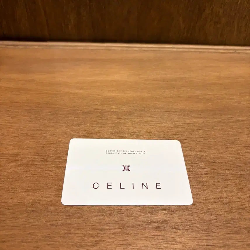 [BUNJANG] Celine Blade Macadam Shoulder Bag / 셀린느 블레이드 마카담 숄더백