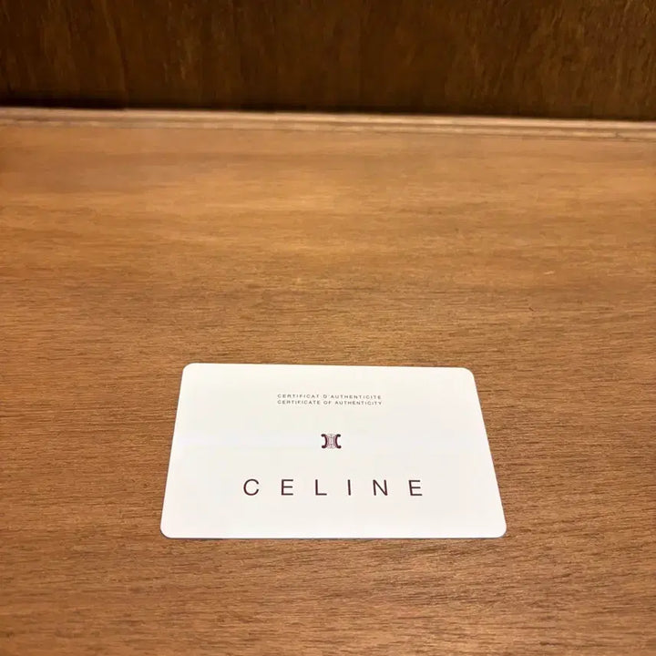 [BUNJANG] Celine Blade Macadam Shoulder Bag / 셀린느 블레이드 마카담 숄더백