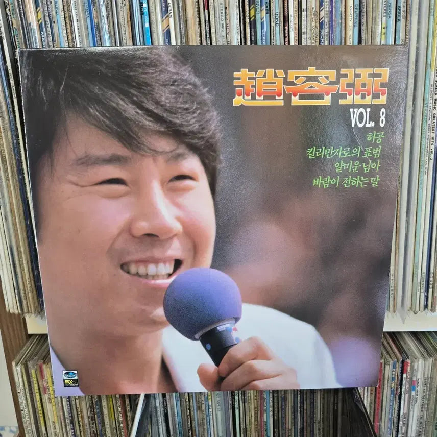 [BUNJANG] Cho Yong Pil LP Record Set / 조용필 LP판 허공,킬리만자로의 표범